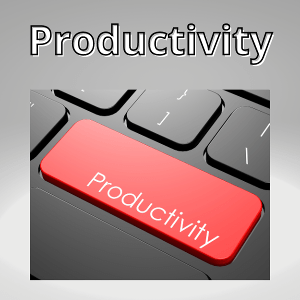 Productivity